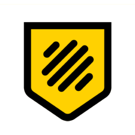 Access Vision